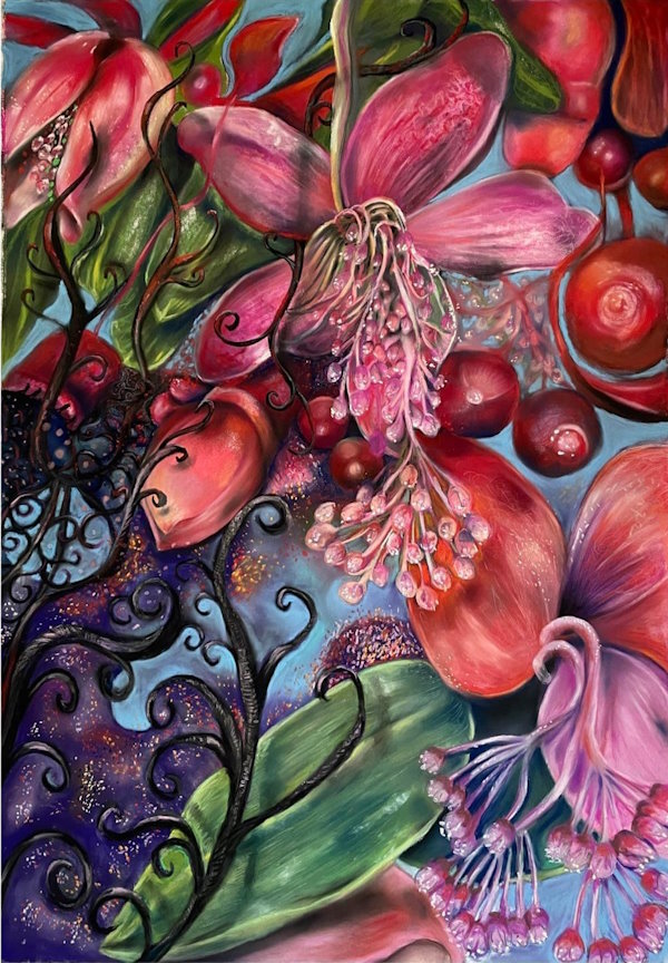 Medinilla-Magnifica