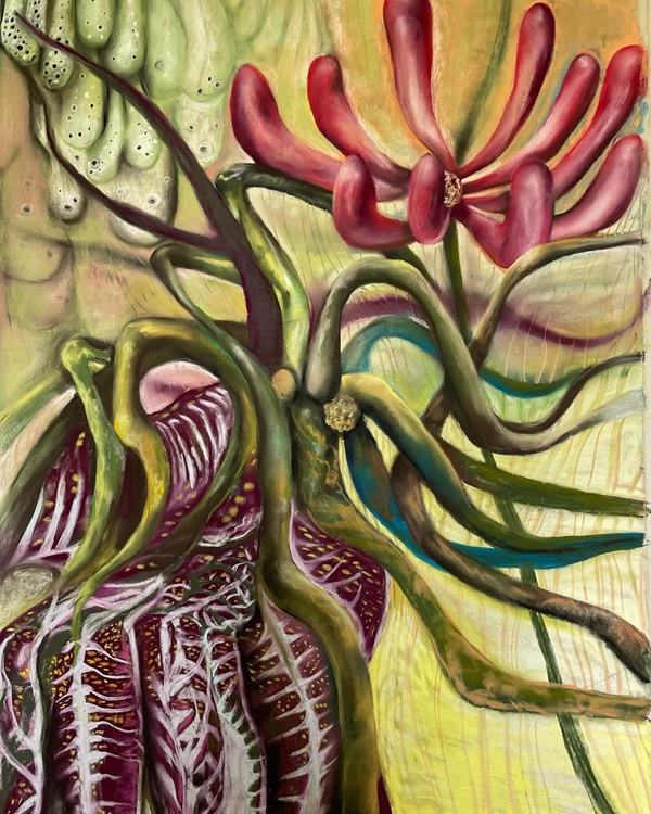 lonicera-japonica